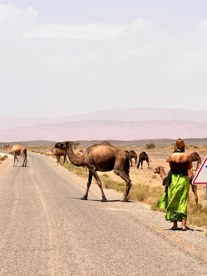 Paisaje de Marruecos