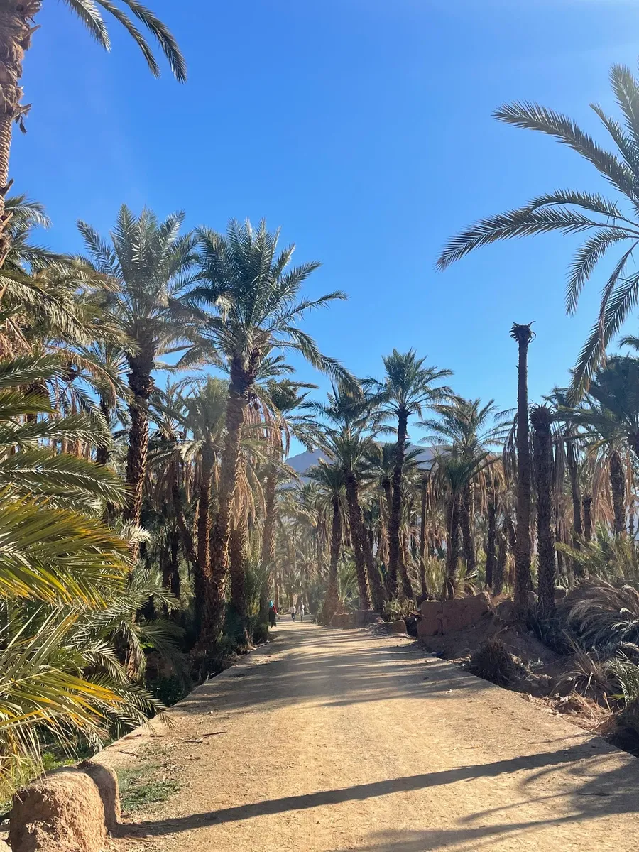 Paisaje de Marruecos