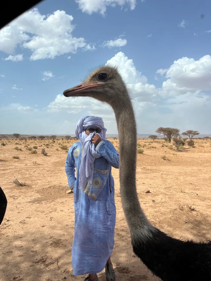 El Desierto Salvaje Erg Chigaga